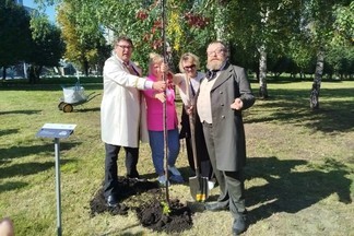 В Екатеринбурге появилась Театральная аллея