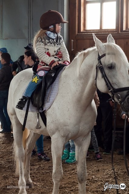 Учёная лошадка Детский праздник, фото № 33