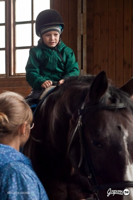 Учёная лошадка Детский праздник, фото № 40