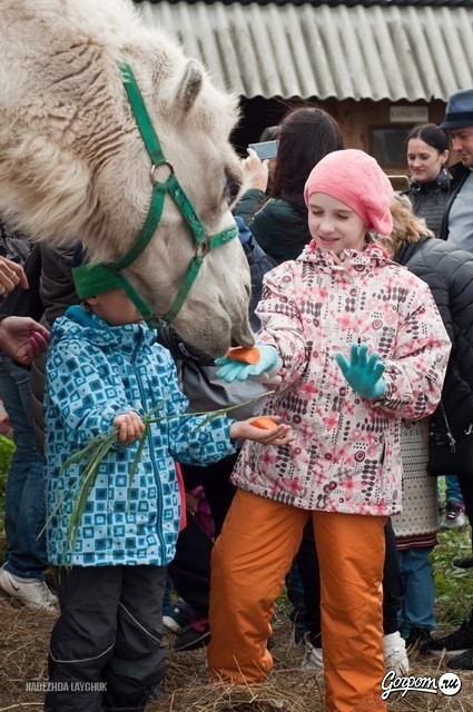 Учёная лошадка Детский праздник, фото № 21