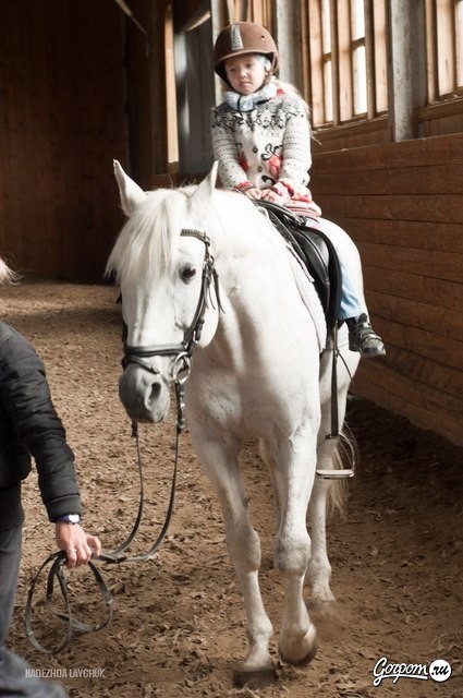 Учёная лошадка Детский праздник, фото № 36
