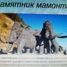Фото к отзыву
